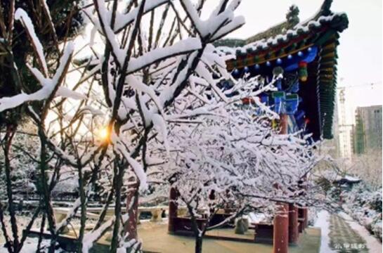 AG��˾(�й���)�����޹�˾����